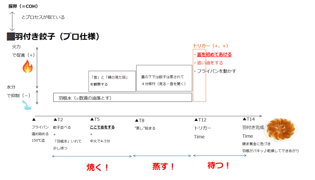 羽付き餃子の焼く・蒸す・待つの3工程を時系列で示した図。T2からT14までのタイムラインと火力・水分の増減を表示
