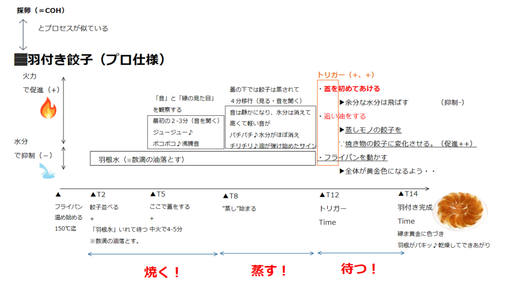 羽付き餃子（プロ仕様）の蓋を閉めている間の音と見た目の変化、蓋を開けるタイミングを詳細に示した図
