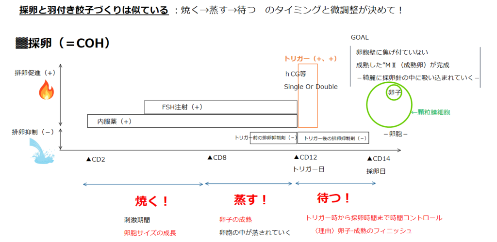 採卵（COH）でCD8からCD12にかけて医師が見ている複数のFACT（卵胞径・E2・LH・P4など）の関係性を示した図